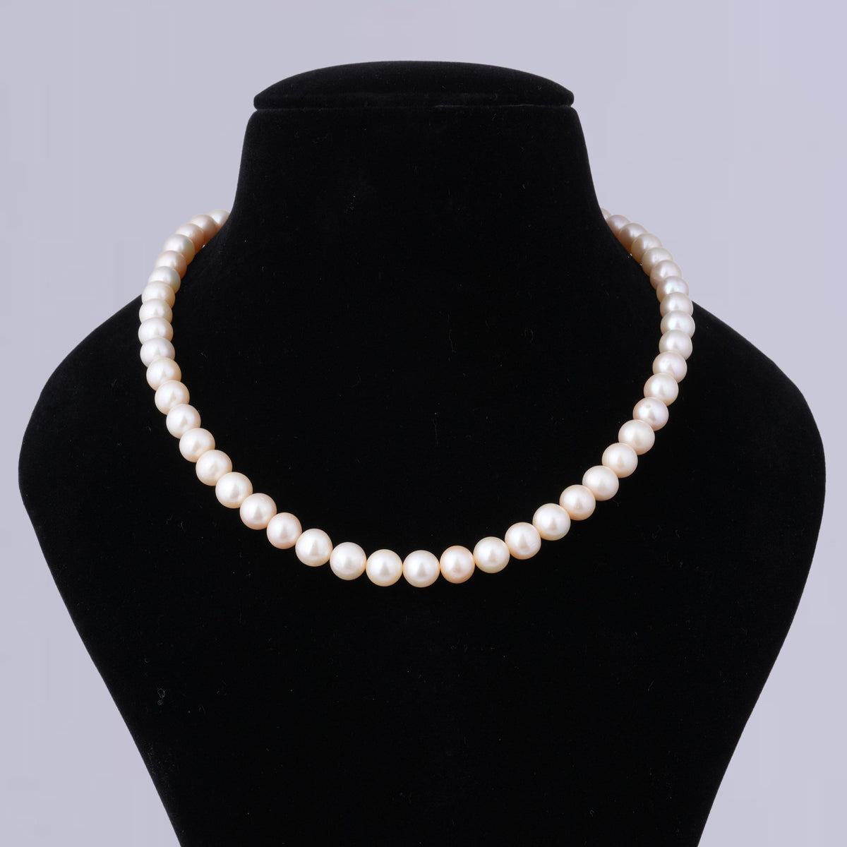Royal Creamrose Pearl Necklace