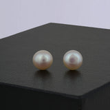 Rich Creamy Pearl Stud Earrings